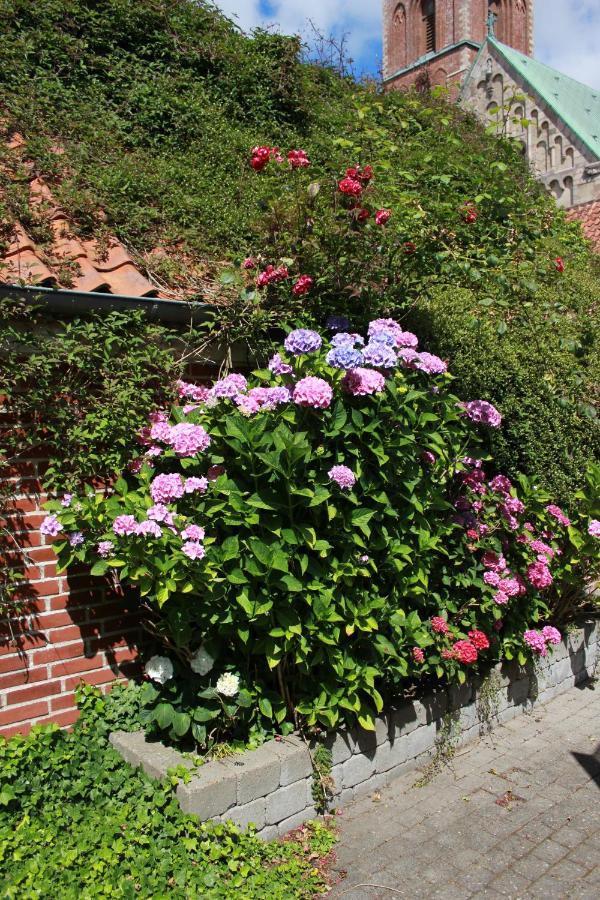Ribe Ferielejlighed Exterior foto